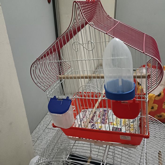 Conjunto de gaiolas em bom estado de conservação.