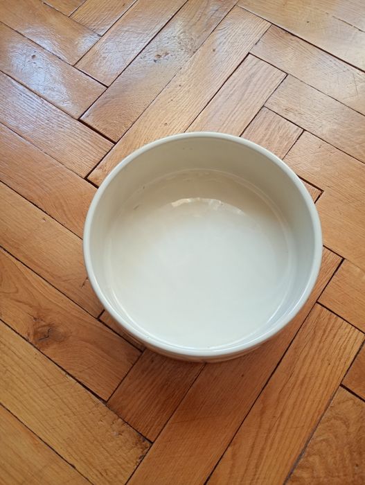 Ceramiczna duża miska dla psa