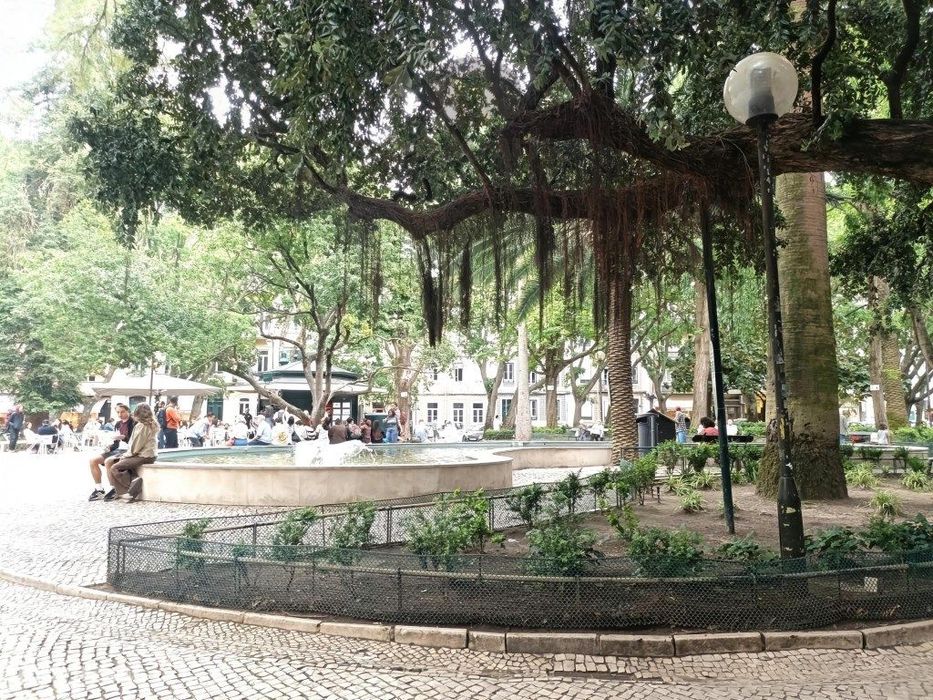 Apartamento T4 em Campo de Ourique