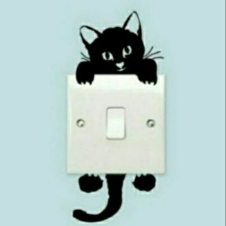 Gato pendurado no interruptor.