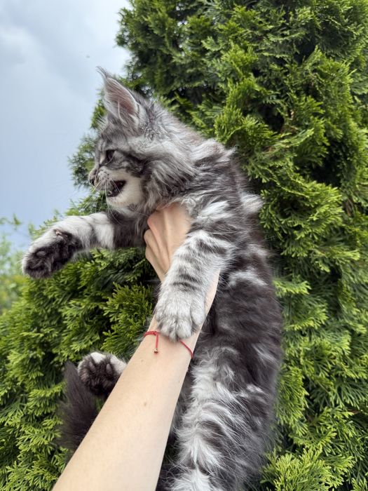 Дуже гарний мармуровий хлопчик