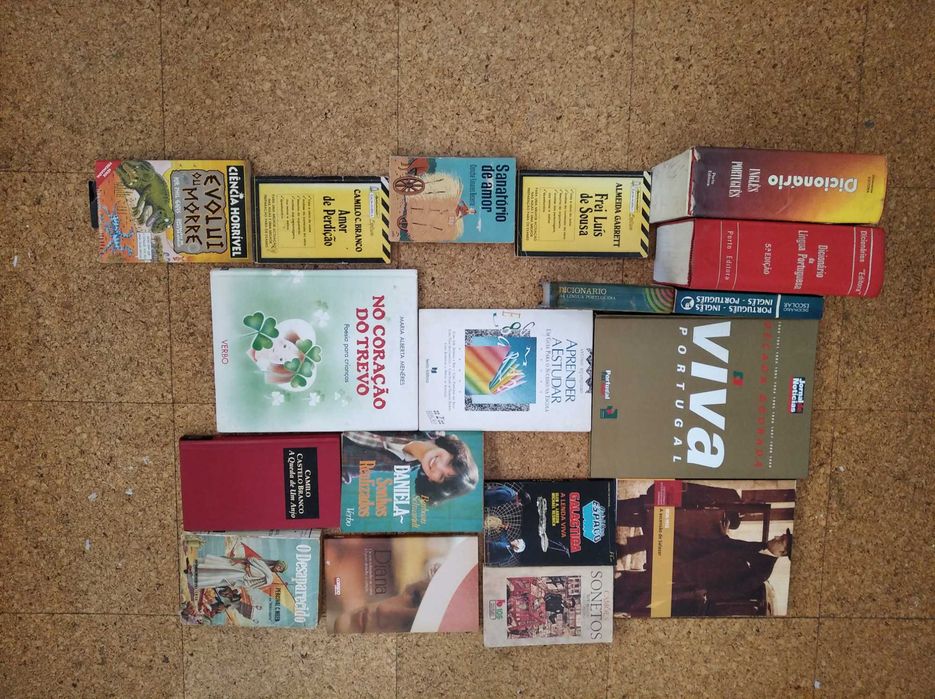 Conjunto de livros: clássicos, ficção cientifica, enciclopédias, etc.