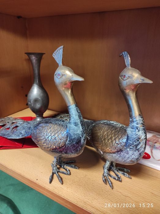 Pavão de bronze raricimo