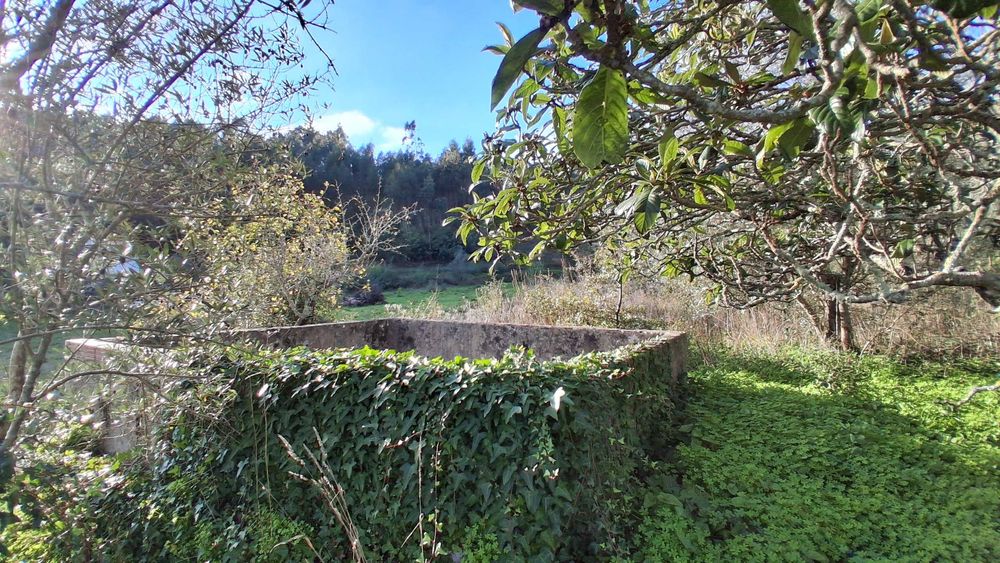 Quinta com 3 hectares a 20 km de Lisboa