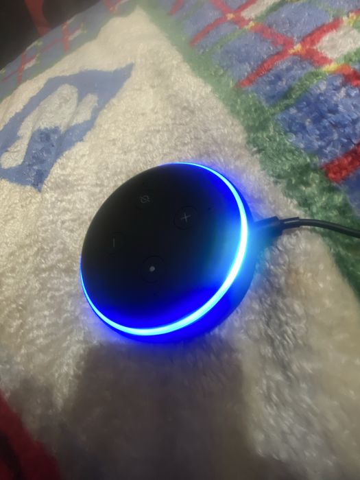 Alexa Amazon Nova436900503278080004