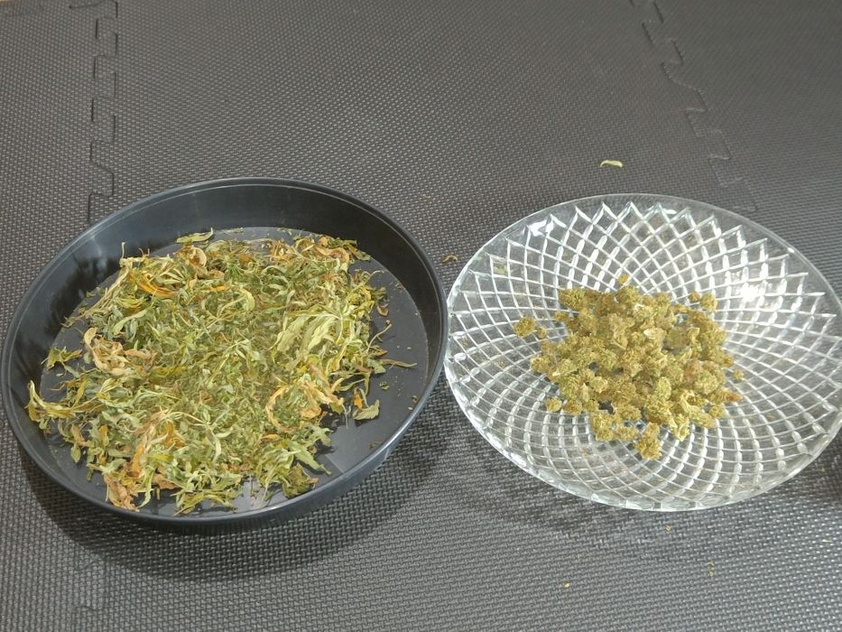 50g suszu kwiaty z liśćmi konopi CBD Przysmak Prezesa