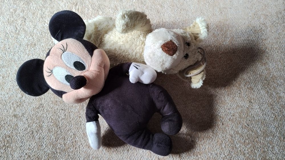 Myszka Miki oraz piesek tylko 10 złotych.