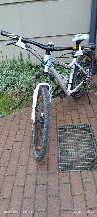 Rower Damski Giant Liv