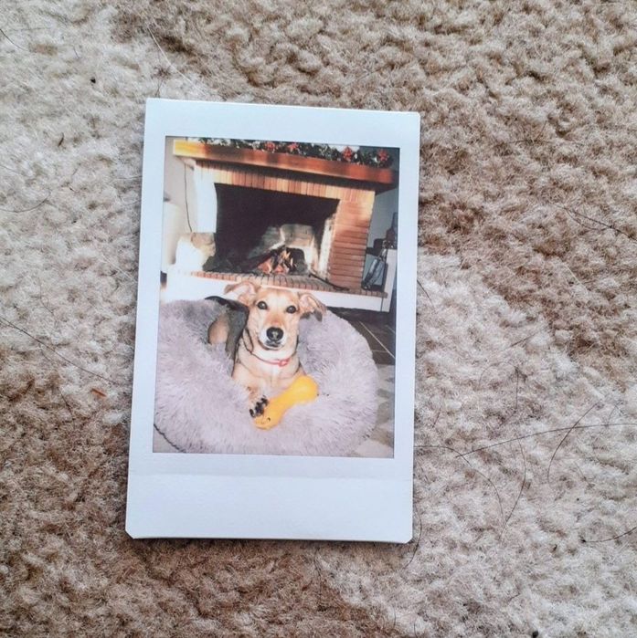 Fotos Instax impressas