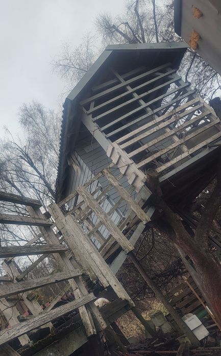 Domek na drzewie
