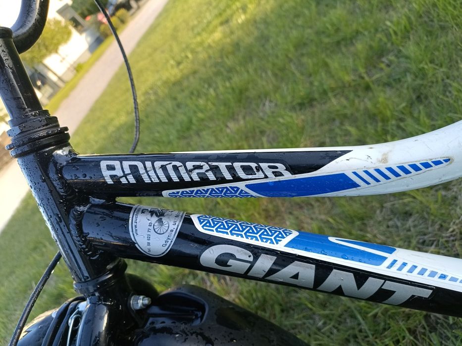 Rower dla chłopca 16" szesnaście cali Giant animator xs