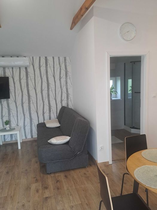 Wynajem apartamentów