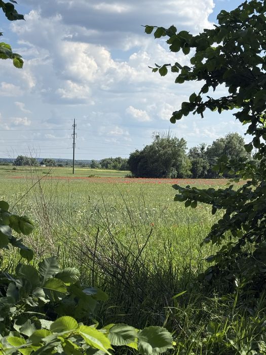 Продаж фасадної земельної ділянки 2 га  Бородянка круг