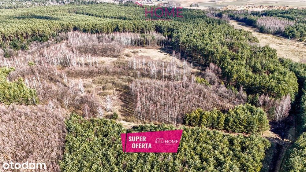 Działka wśród lasu- 8 arów