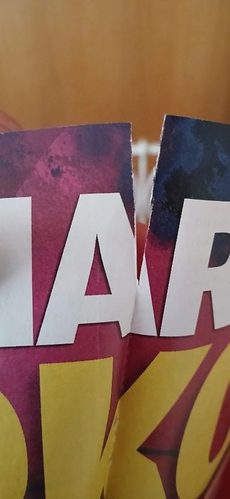 Poster Ana Maria Markovic