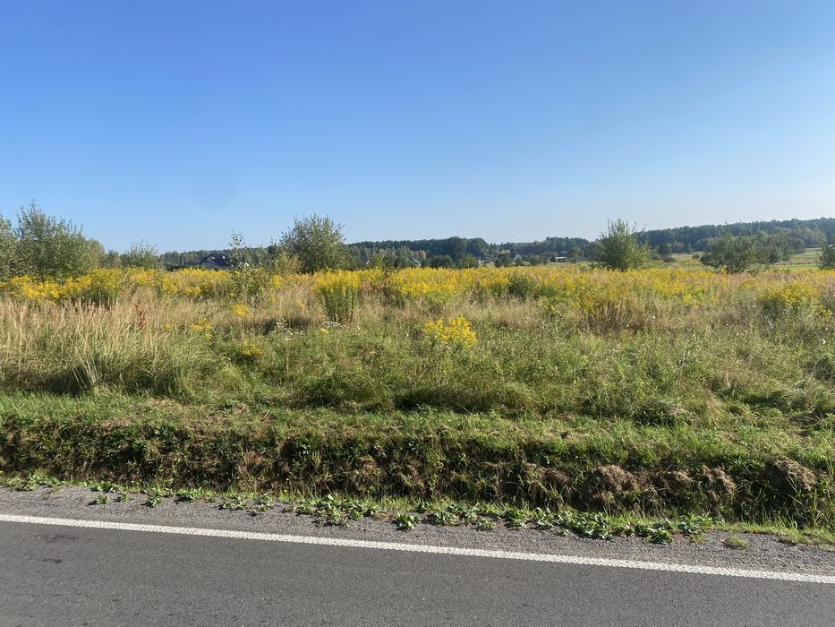 Powiat myszkowski Pustkowie Lgockie Działka budowlana MPZP 1150 m² - Widok 2