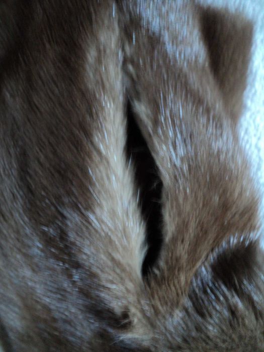 Шубка Saga Mink норка