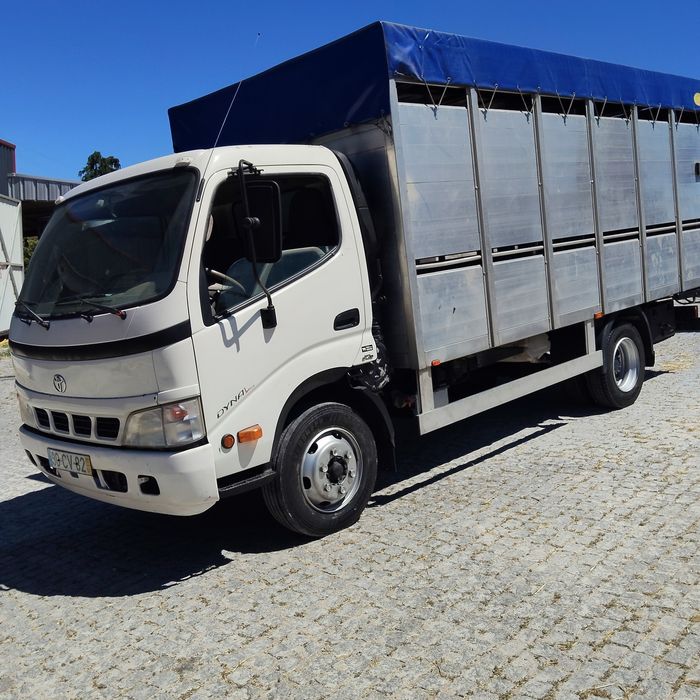 Toyota Dyna para transporte de animais