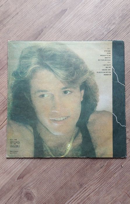 Andy Gibb ' After Dark ' winyl , vinyl