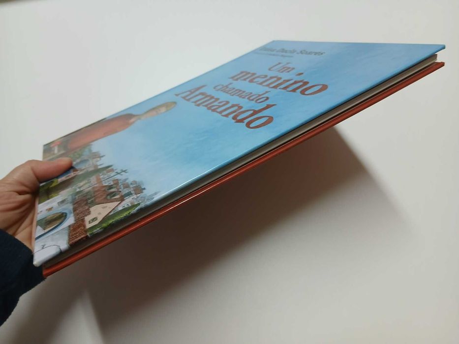 Livro Um Menino Chamado Armando - Luísa Ducla Soares