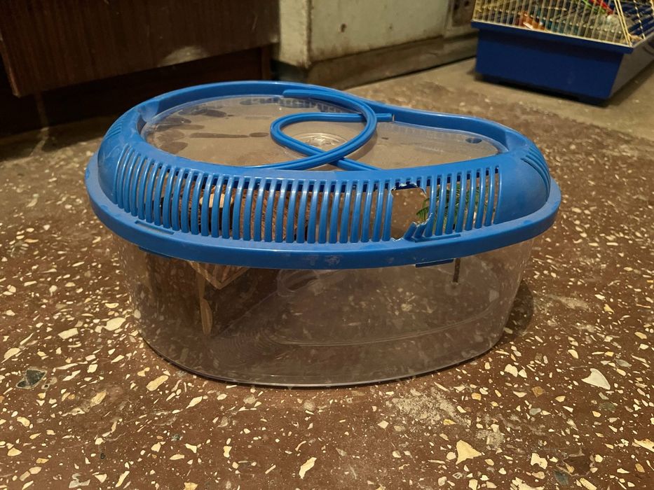 Клітка-переноска для дрібних гризунів, тераріум, фаунаріум