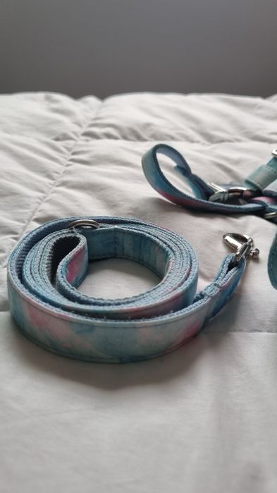 Peitoral arco-iris + trela conjunto