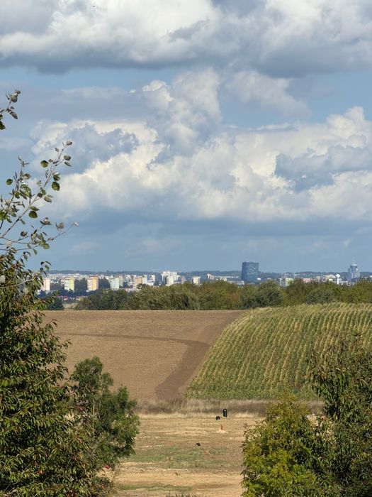 Zdjęcie 7