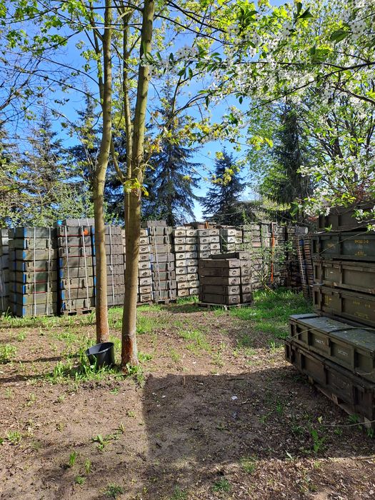 Skrzynia wojskowa drewniana