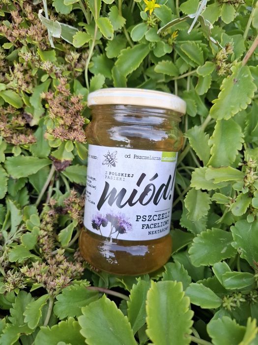 Miód faceliowy 1,2 kg