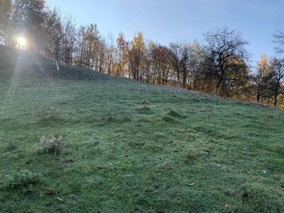 Продається земельна ділянка у мальовничому місці у лісі