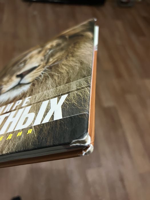 Книжка про тварин на російській мові