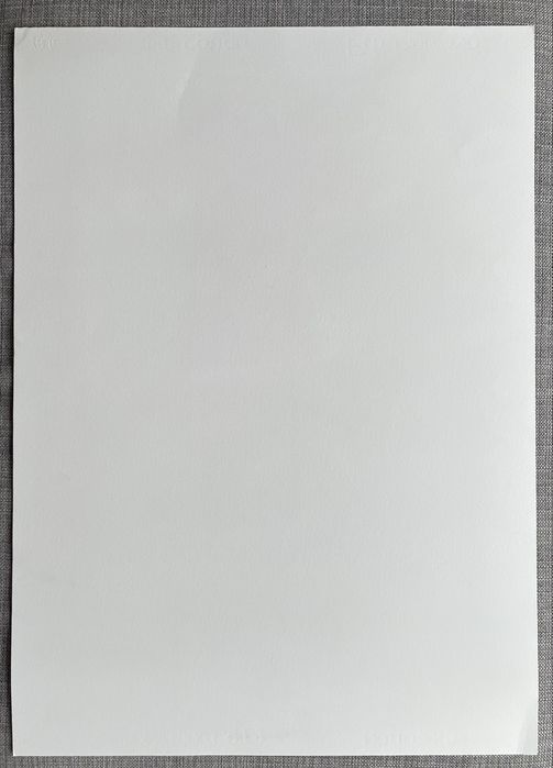 Personagem Verde de José de Guimarães