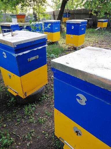 ПРОДАМ вулики 12 рамкові