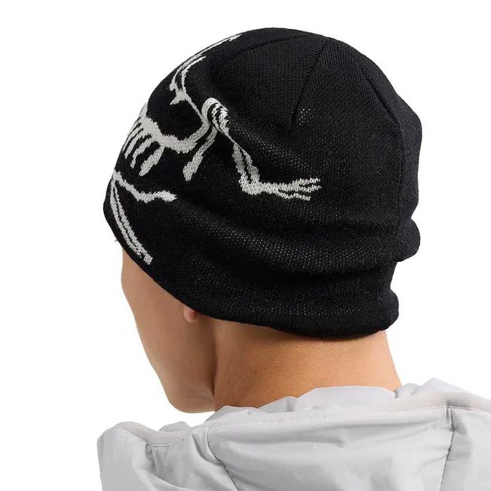 Шапка Arc’teryx Bird Head Toque Orca