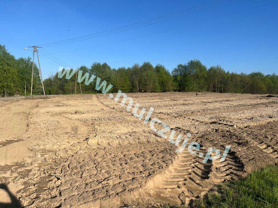 Rekultywacja Mulczer leśny wgłębny Karczowanie działek wycinka drzew