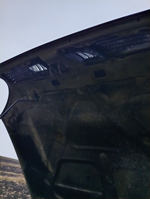 Део ланос (поляк)торг