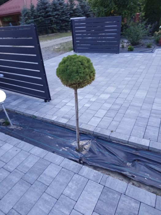 Układanie kostki brukowej