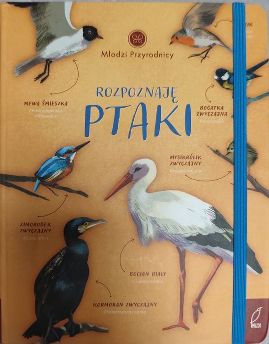 Książki ptaki, detektywi malusinscy