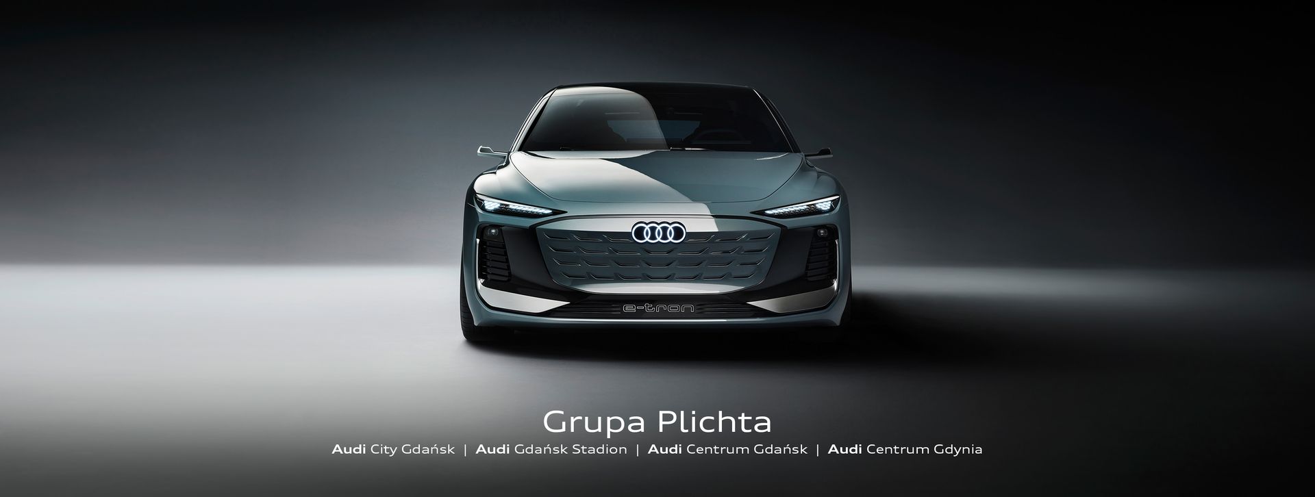 Audi Grupa Plichta top banner