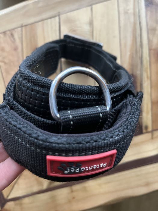 Obroźa dla psa Pentento Pet