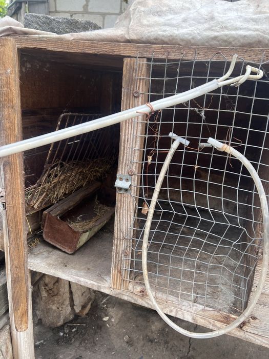 Клітки для кролів