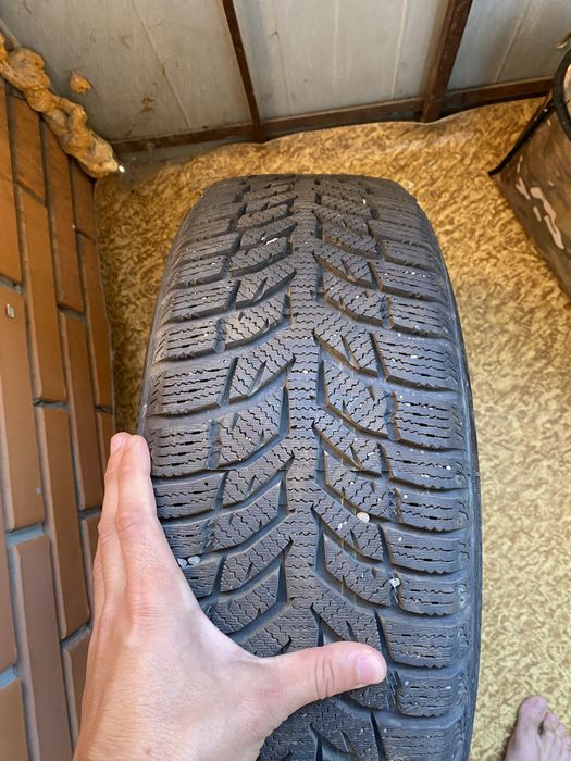 Тітани +ризина r15