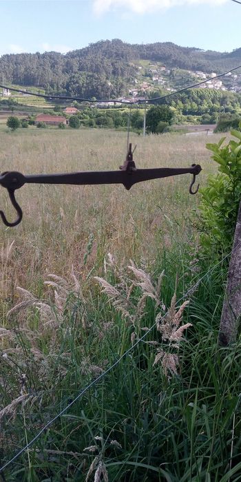 Balança muito antiga