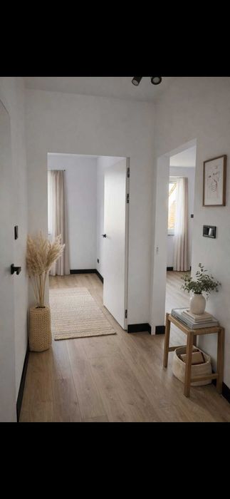 Apartament do wynajecia