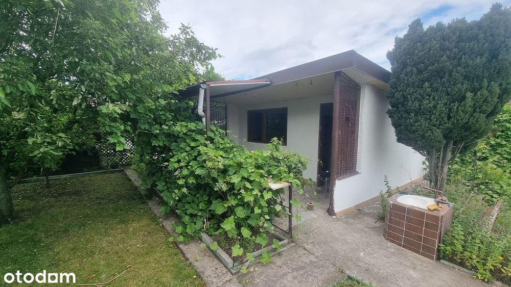 Działka ROD na ul. Inwalidów Aktualnie jest odświeżana!