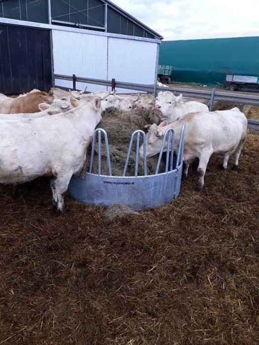 Paśnik, Karmik łąkowy 12 stanowiskowy do bel bydła koni