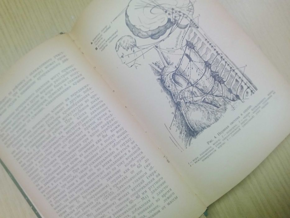 Хвороби серцево-судинної системи в середньому та літн. віці. В.Зеленин