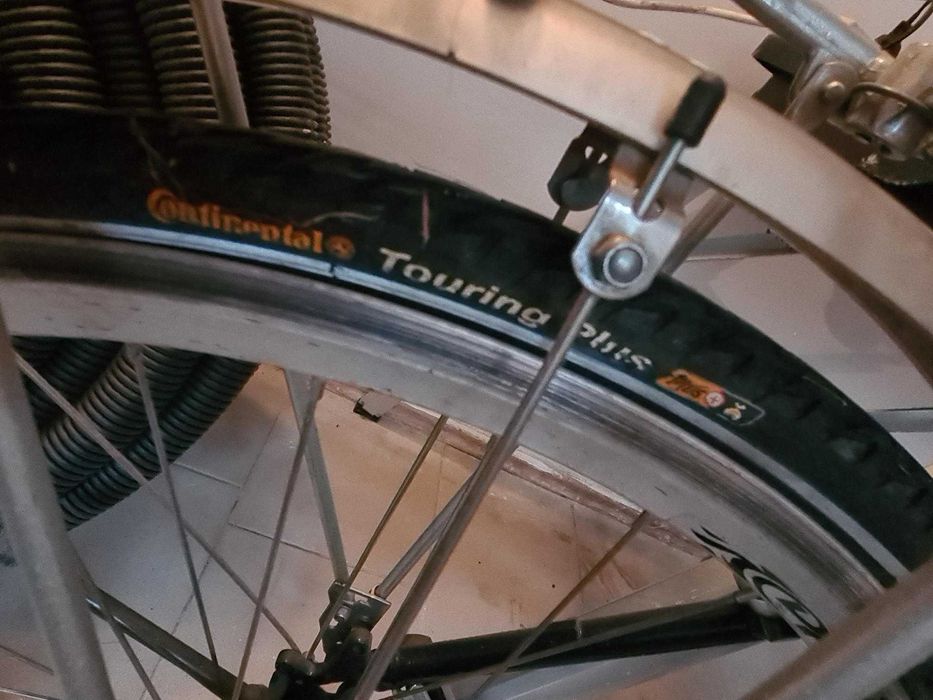 Rower Staiger Louisiana