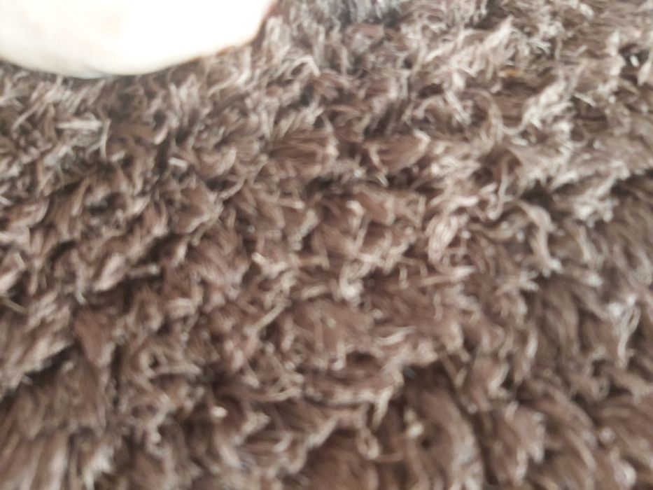 Carpete vermelha e carpete castanha 15€