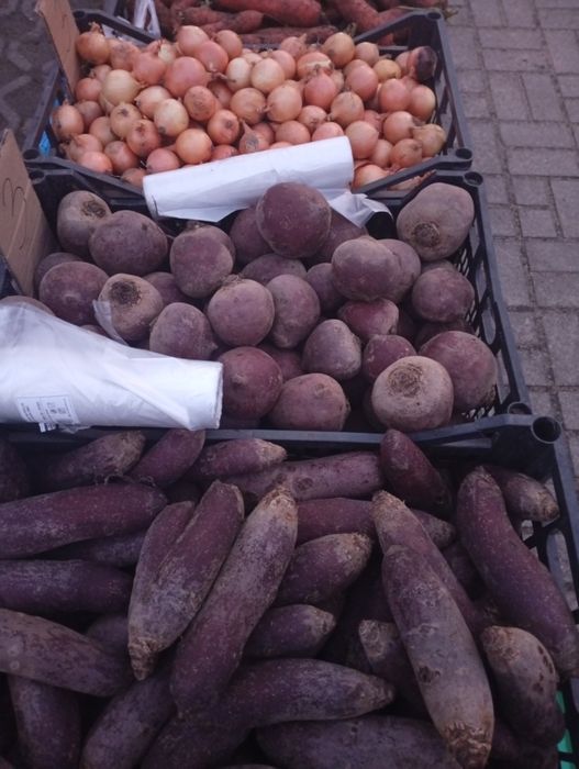 Sprzedam prosto od rolnika